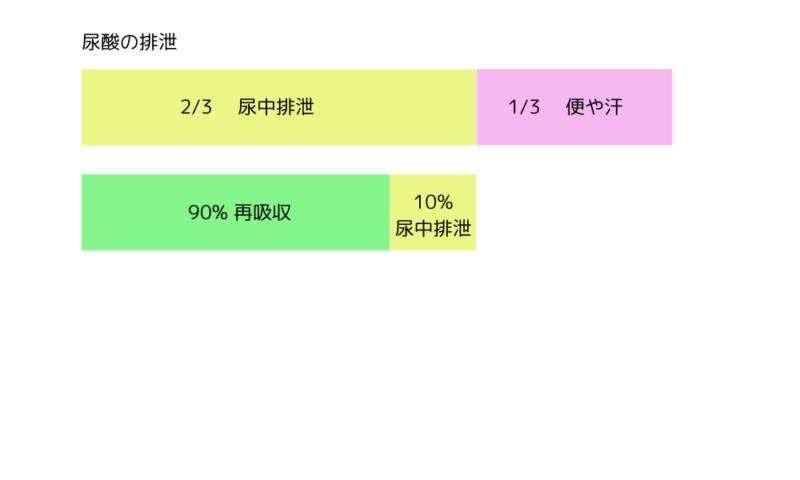 尿酸の流れ
