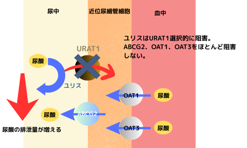 ユリス 作用機序